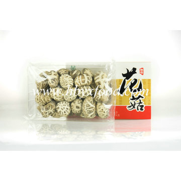 Dried Shiitake Mushroom Wholesale, White Flower Shiitake